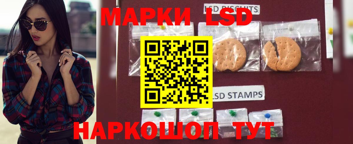 Курчалой  LSD-25 экстази кислота  ЛСД экстази кислота  Вход с VPN 