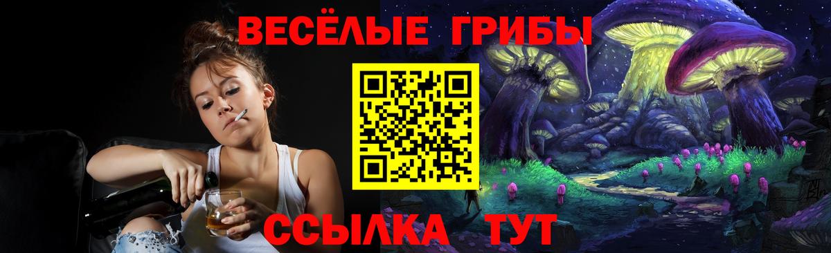 Курчалой  закладка  Вход с VPN  Галлюциногенные грибы Psilocybe  Галлюциногенные грибы мицелий 