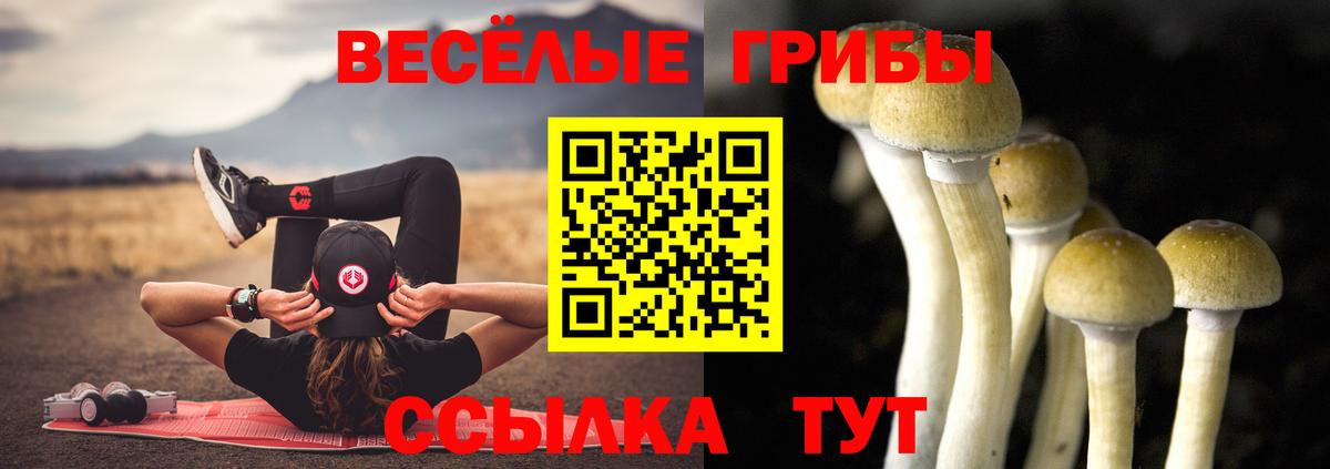 Псилоцибиновые грибы Psilocybine cubensis Курчалой
