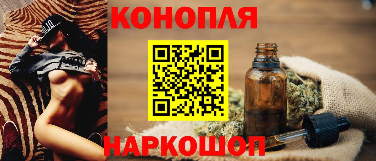 Канабис планчик Курчалой